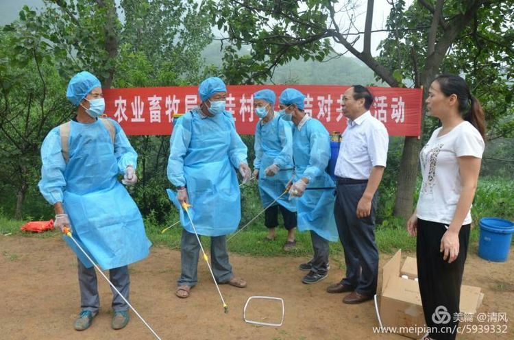 文章附图